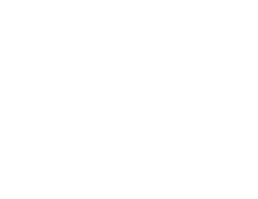 Shoptimizer Logo